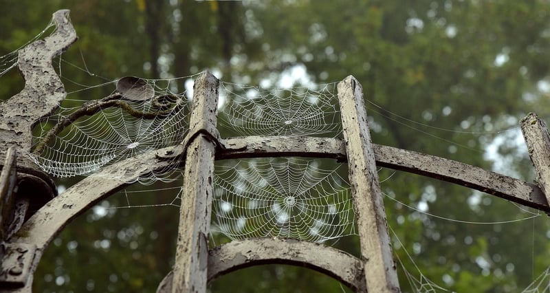 Magical Portals